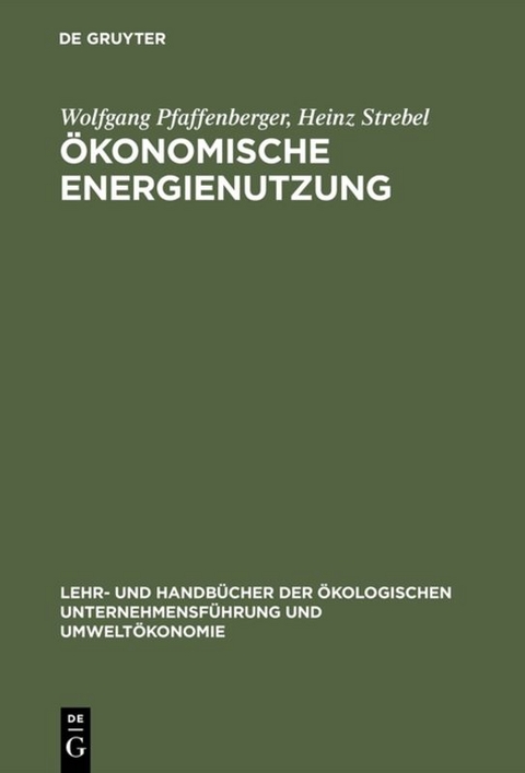 &Ouml;konomische Energienutzung - Wolfgang Pfaffenberger, Heinz Strebel