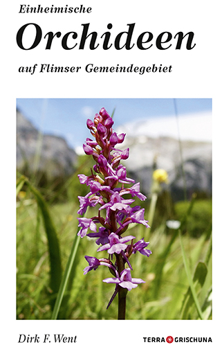 Einheimische Orchideen auf Flimser Gemeindegebiet - Dirk Went