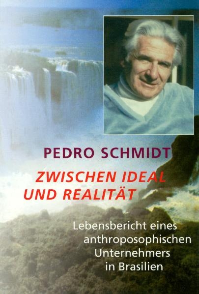 Zwischen Ideal und Realit&auml;t - Pedro Schmidt