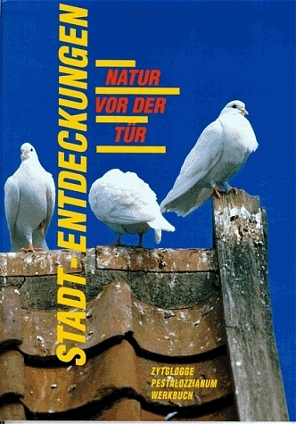 Stadtentdeckungen - Ueli Nagel