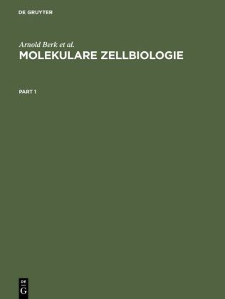 Molekulare Zellbiologie - Harvey Lodish, David Baltimore, Arnold Berk, S Lawrence Zipusky, Paul Matsudaira, James Darnell