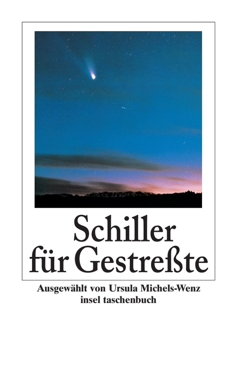 Schiller f&uuml;r Gestre&szlig;te - Friedrich Schiller