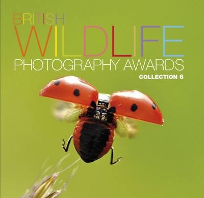 British Wildlife Photography Awards: Collection 6