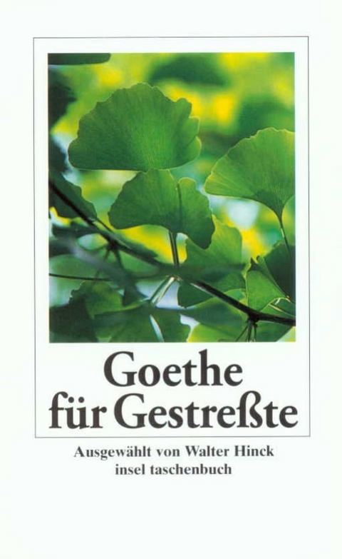 Goethe f&uuml;r Gestre&szlig;te - Johann Wolfgang Goethe