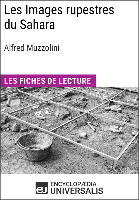 Les Images rupestres du Sahara d'Alfred Muzzolini -  Encyclopaedia Universalis