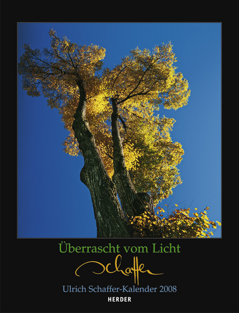 &Uuml;berrascht vom Licht 2008 - Ulrich Schaffer