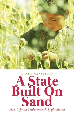A State Built on Sand - David Mansfield