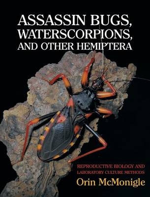 Assassin Bugs, Waterscorpions, and Other Hemiptera - Orin McMonigle