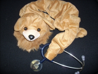 Stethoskop-Cover Löwe