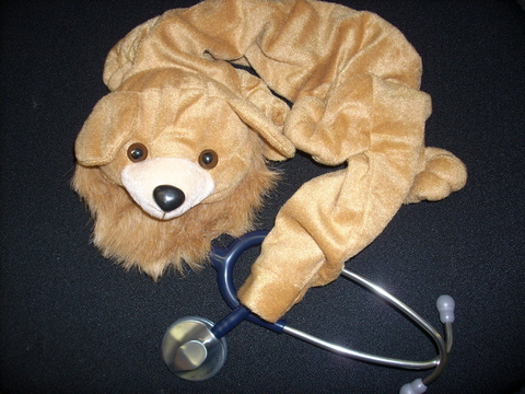 Stethoskop-Cover Löwe