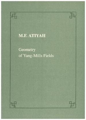 Geometry of Yang-Mills Fields
