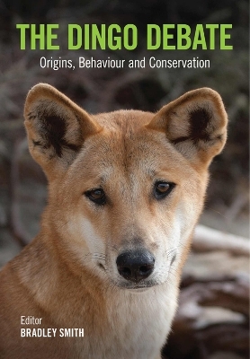 The Dingo Debate - 