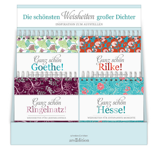 Display Ganz schön Goethe