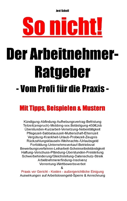 Der Arbeitnehmer-Ratgeber - Jost Scholl