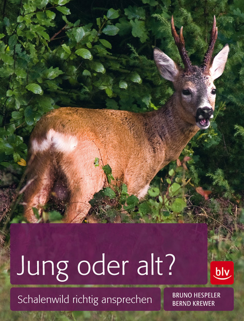 Jung oder alt? - Bernd Krewer, Bruno Hespeler