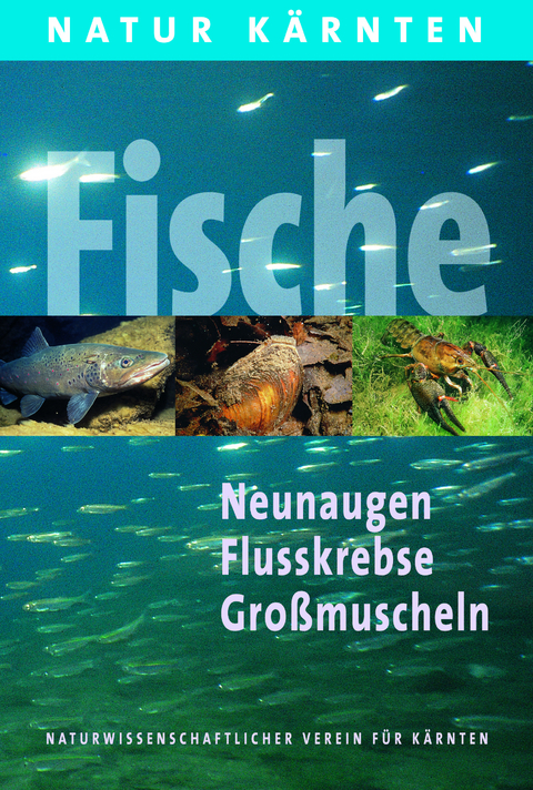 Die Fische K&auml;rntens - Wolfgang Honsig-Erlenburg