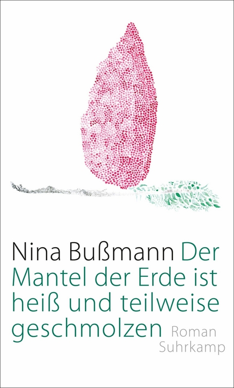 Der Mantel der Erde ist hei&szlig; und teilweise geschmolzen -  Nina Bu&szlig;mann