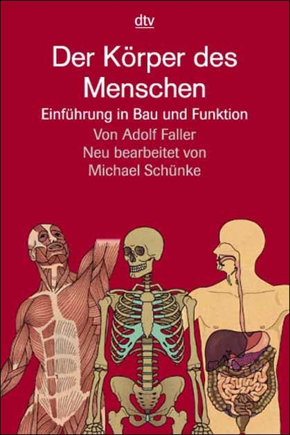 Der K&ouml;rper des Menschen - Adolf Faller