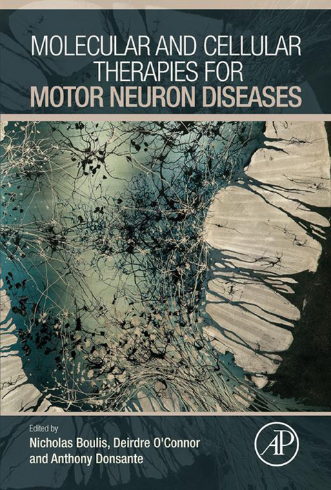Molecular and Cellular Therapies for Motor Neuron Diseases - 