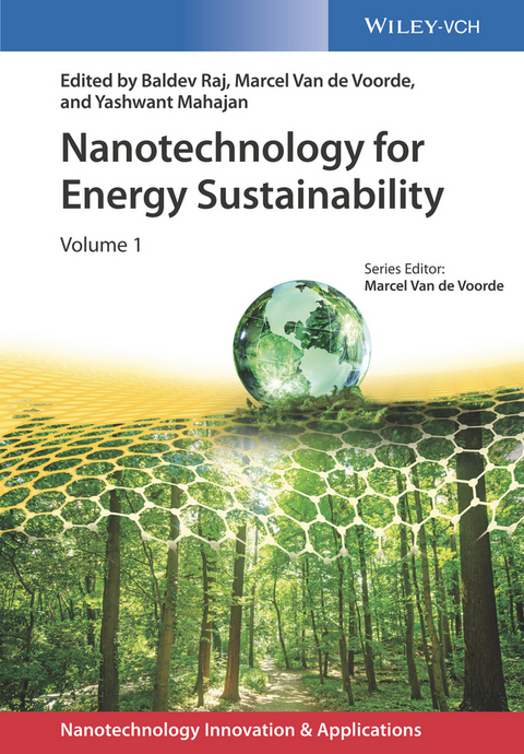 Nanotechnology for Energy Sustainability - 