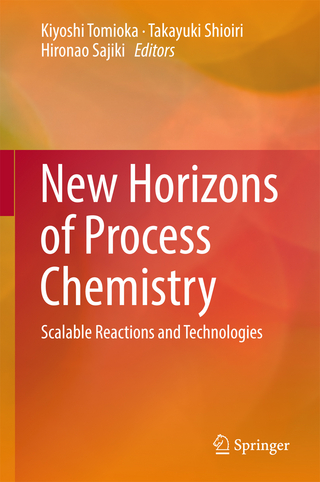 New Horizons of Process Chemistry