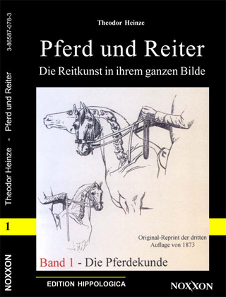 Pferd und Reiter