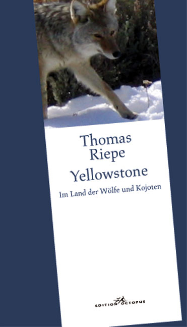 Yellowstone - Thomas Riepe
