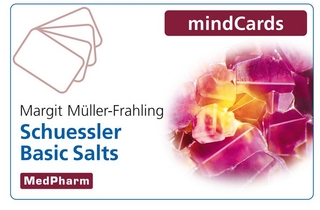 Schuessler Basic Salts