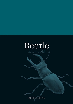 Beetle - Adam Dodd