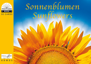 Sonnenblumen /Sunflowers