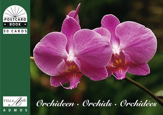 Orchideen, Orchids, Orchidêes