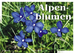 Alpenblumen
