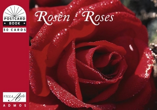 Rosen /Roses