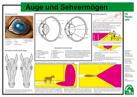 Auge und Sehverm&ouml;gen