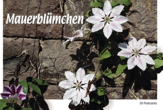 Mauerblümchen