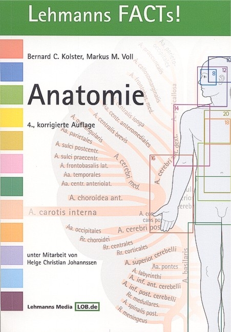Anatomie - 