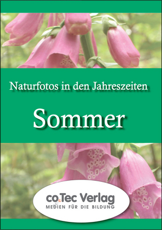 Naturfotos in den Jahreszeiten - Sommer