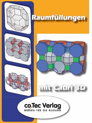 Raumfüllung mit Cabri 3D