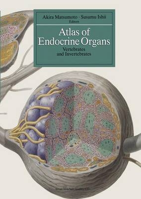 Atlas of Endocrine Organs