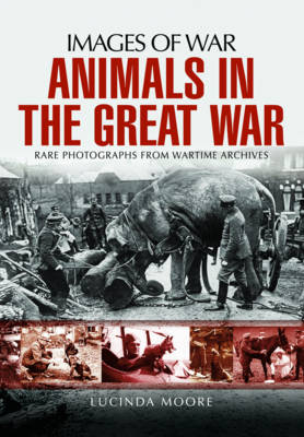 Animals in the Great War -  Lucinda Moore