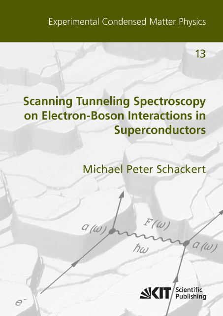 Scanning Tunneling Spectroscopy on Electron-Boson Interactions in Superconductors - Michael Peter Schackert