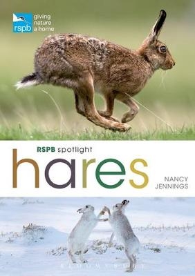 RSPB Spotlight Hares -  Nancy Jennings