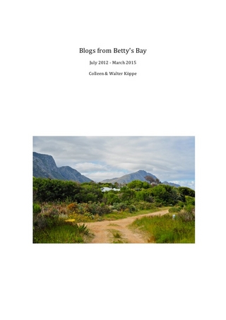 Blogs from Betty's Bay