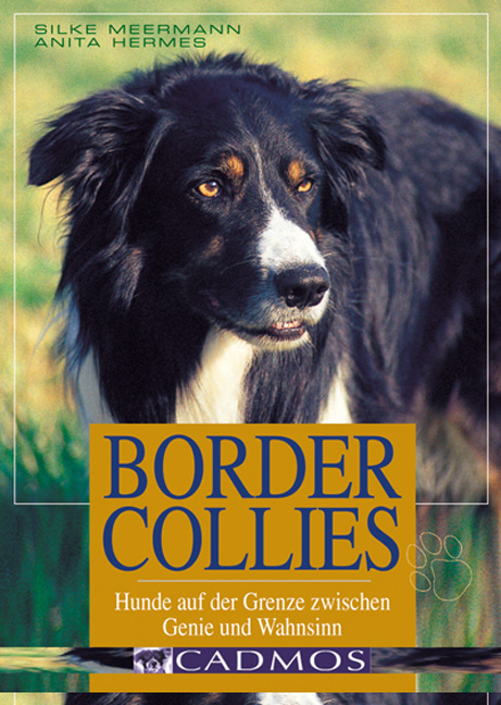 Border Collies - Silke Meermann, Anita Hermes