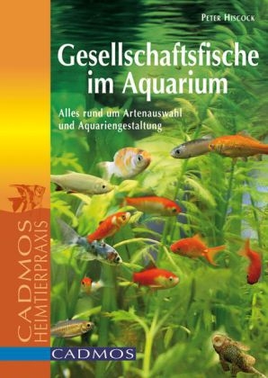 Gesellschaftsfische im Aquarium - Peter Hiscock