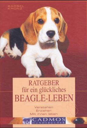 Ratgeber für ein glückliches Beagle-Leben
