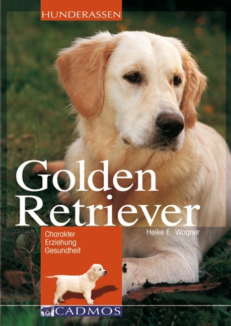Golden Retriever - Heike E Wagner