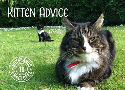 Kitten Advice Notecards - Tom Cox