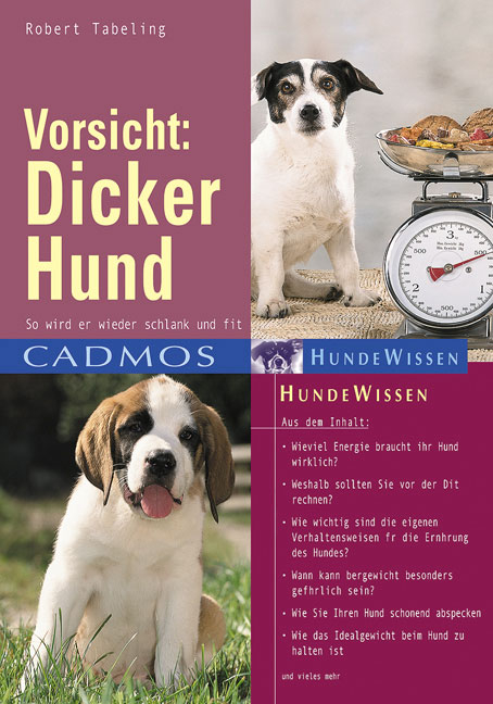 Vorsicht: Dicker Hund - Robert Tabeling