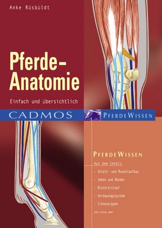 Pferde-Anatomie